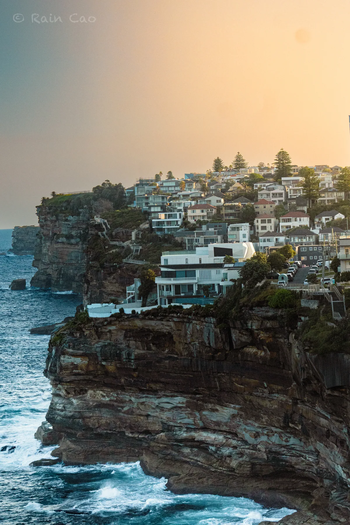 Nature photograph taken at Sydney, Australia